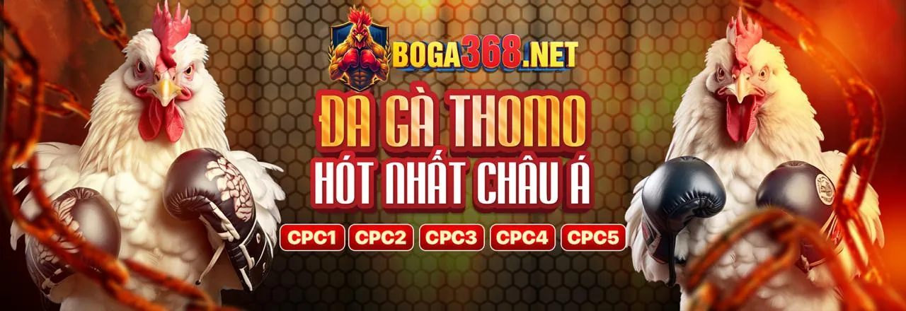 Hình ảnh banner khuyến mãi 1BWM 2026